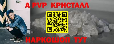 спиды Кингисепп