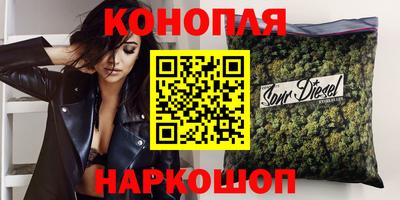 спиды Кингисепп