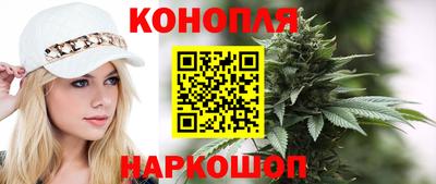 спиды Кингисепп