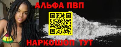 спиды Кингисепп