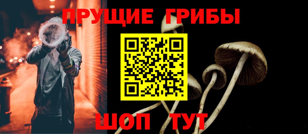Котельники  Псилоцибиновые грибы мухоморы  Вход с VPN 